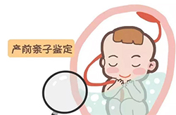 贺州孕期亲子鉴定哪里能做，贺州孕期亲子鉴定出结果要多久
